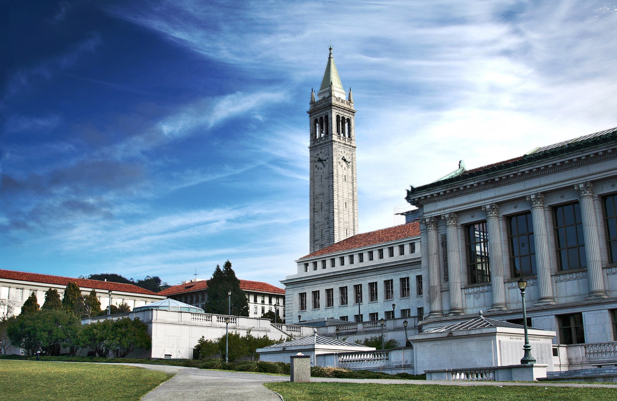 18 UC Berkeley Essay Examples that Worked (2023)