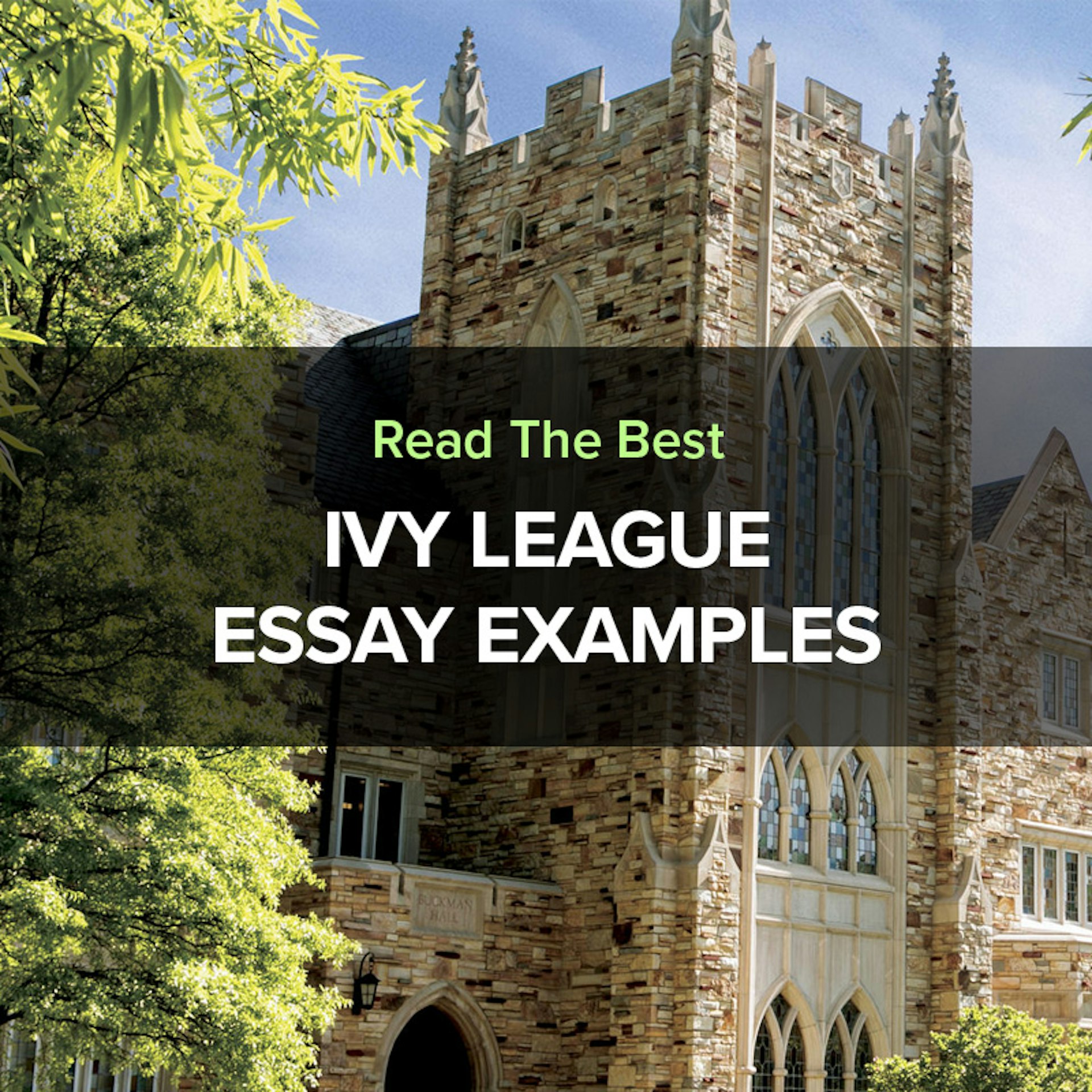 college essays ivy